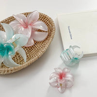 Thumbnail for Chic 3Pcs Gradient Flower Hair Clip Hair Claw Set - ArtGalleryZen